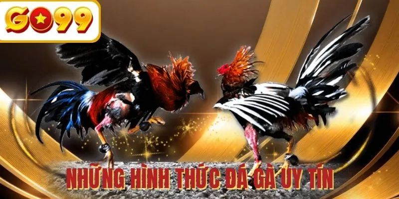 Những thể loại thi đấu được ưa chuộng