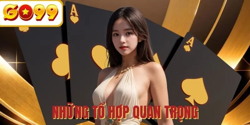 Tổ hợp bài quan trọng