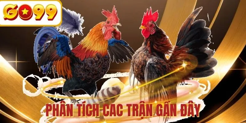 Phân tích các ván tranh tài trong lịch sử