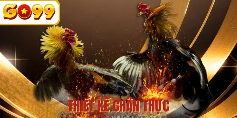 Thiết kế hài hòa và dễ dùng với người mới