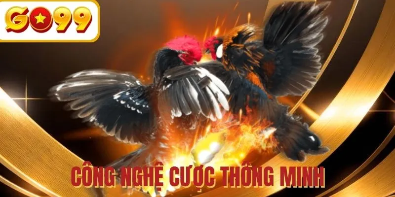 Hỗ trợ cược với công nghệ AI Bet